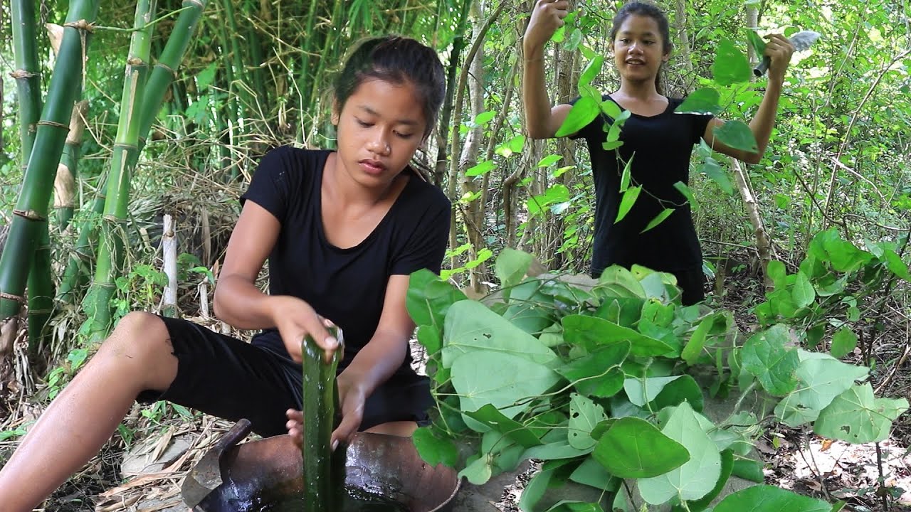 Survival skills in the rainforest: Make Jelly food from natural plants for Lunch ideas