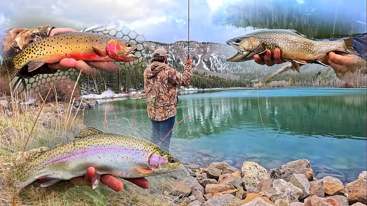 EXPLORING and Fishing REMOTE Mountain Lakes!!! (Catch & Cook)