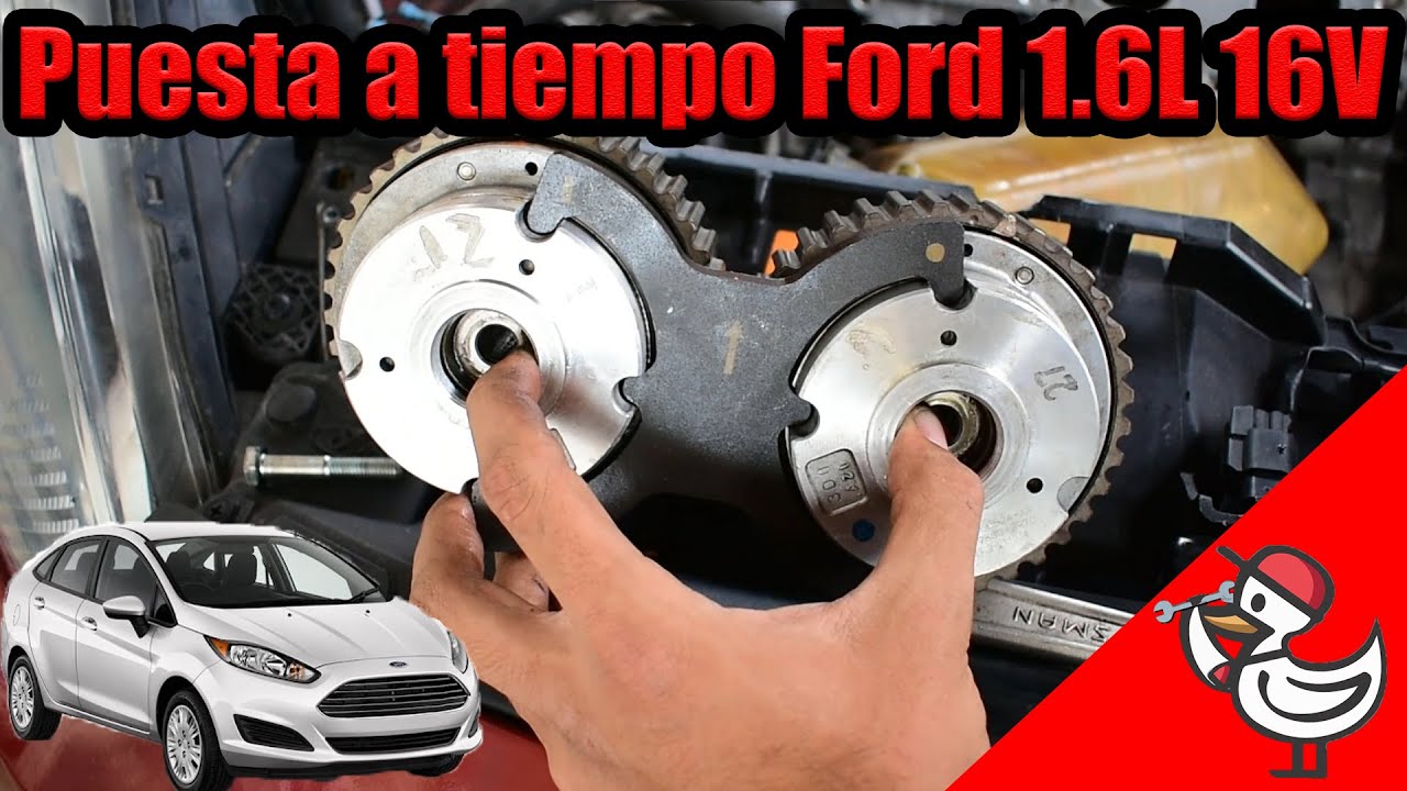 Puesta a tiempo Ford 1.6L 16V