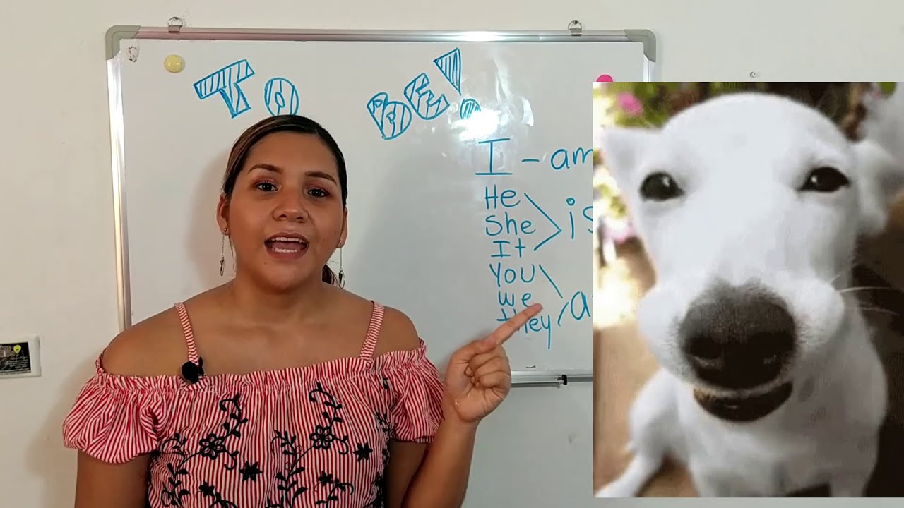 Verb To Be | Afirmativo, Negativo e Interrogativo | Aprender Inglés Gratis