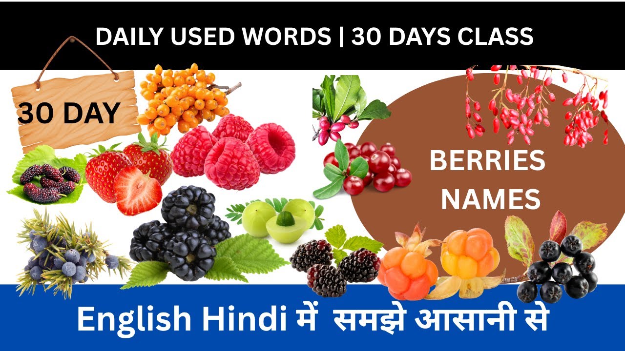 Daily used word 30 day | 20 Berries Name in English and Hindi | Fruit Vocabulary for Kids 🍓🍒