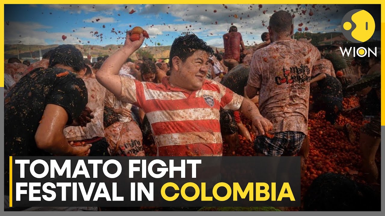 La Tomatina Tomato Throwing Festival in Columbia | WION