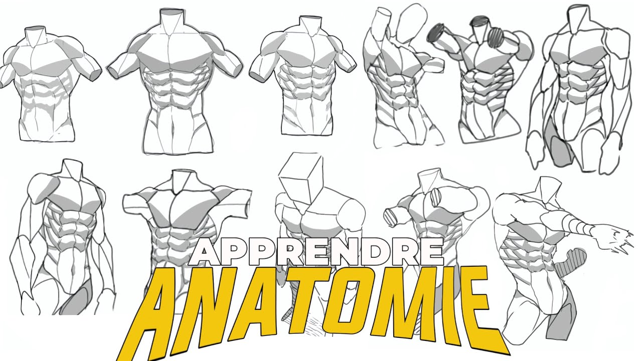 COMMENT DESSINER L'ANATOMIE ? (le processus de A à Z) ✍️