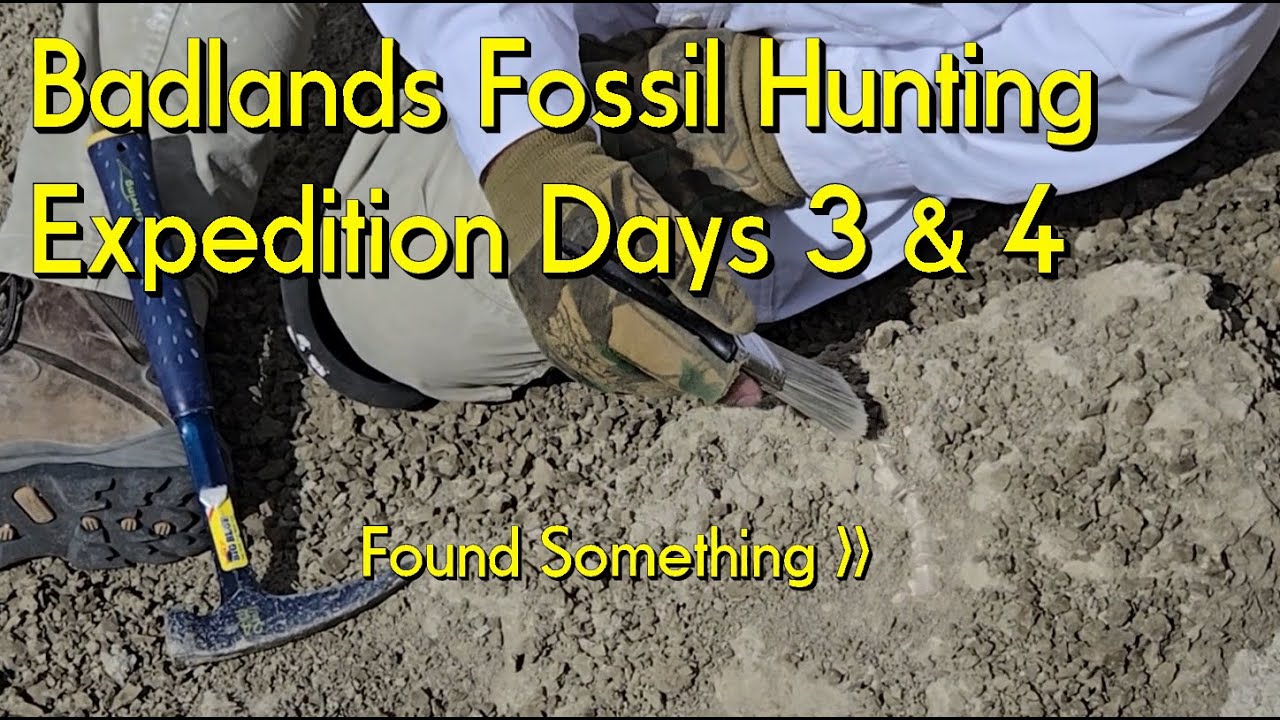 Fossil Hunting The White River Badlands Days 3 & 4 #thefinders  #badlands #nebraska #fossils