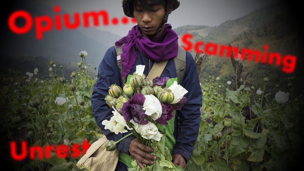 Myanmar's Insane Illegal Economy