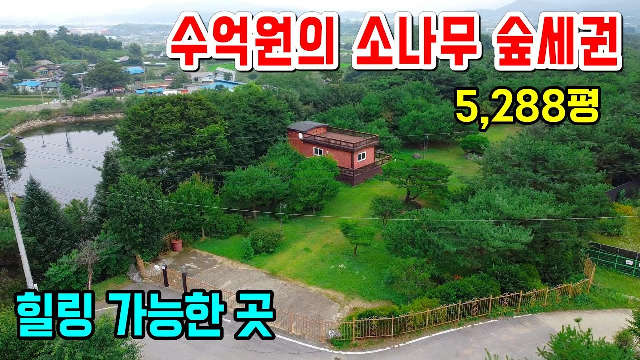 1366. 수억원의 소나무들로 되어있는 숲세권으로 토지 전체에 펜스가 설치되어 있고 총 토지 면적이 5288평입니다. 공원같은 곳으로 세컨하우스로 사용할 주택도 있답니다.
