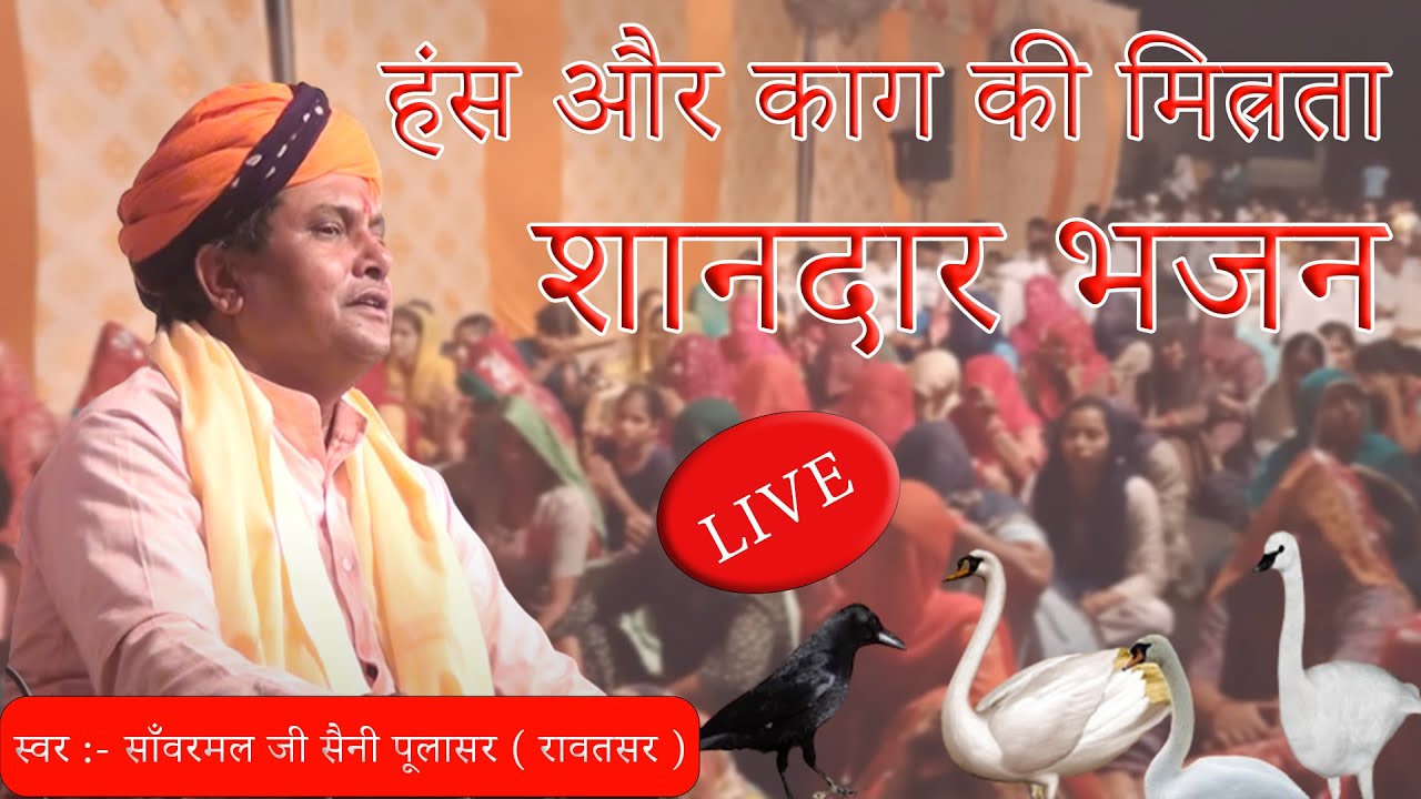 हंस और काग की मित्रता || साँवरमल जी सैनी पूलासर वाले लाइव भजन  #bhajan  #vairalvideo #bhajan2023