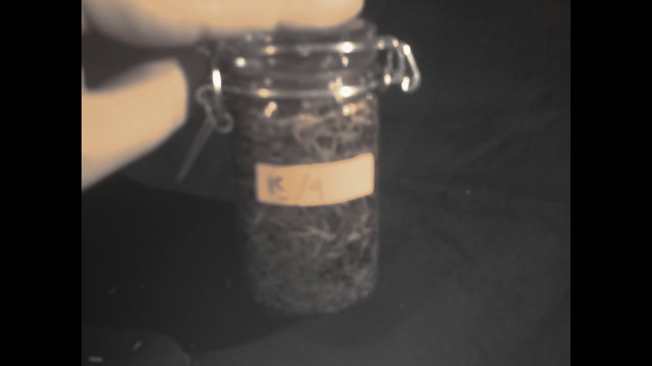 Aceite macerado de hierbas