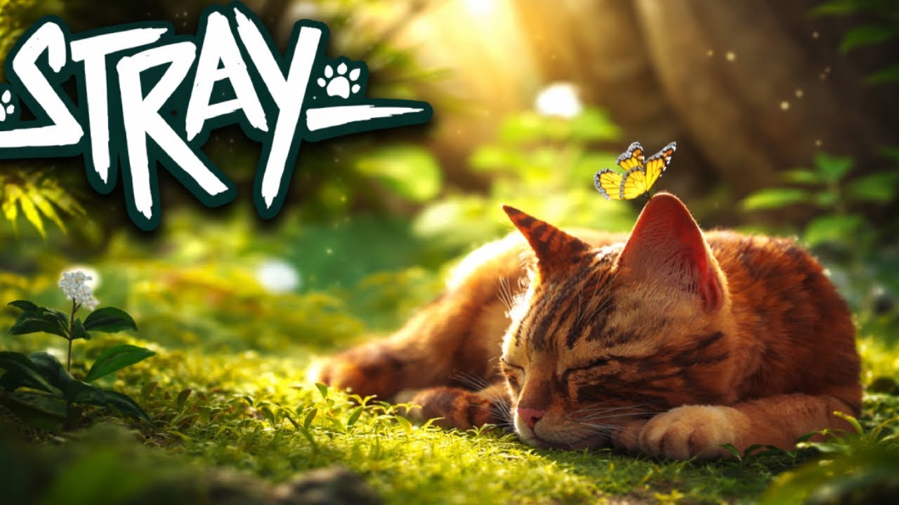 A Lonely Cat’s Emotional Adventure Through a Silent World 💔🌿