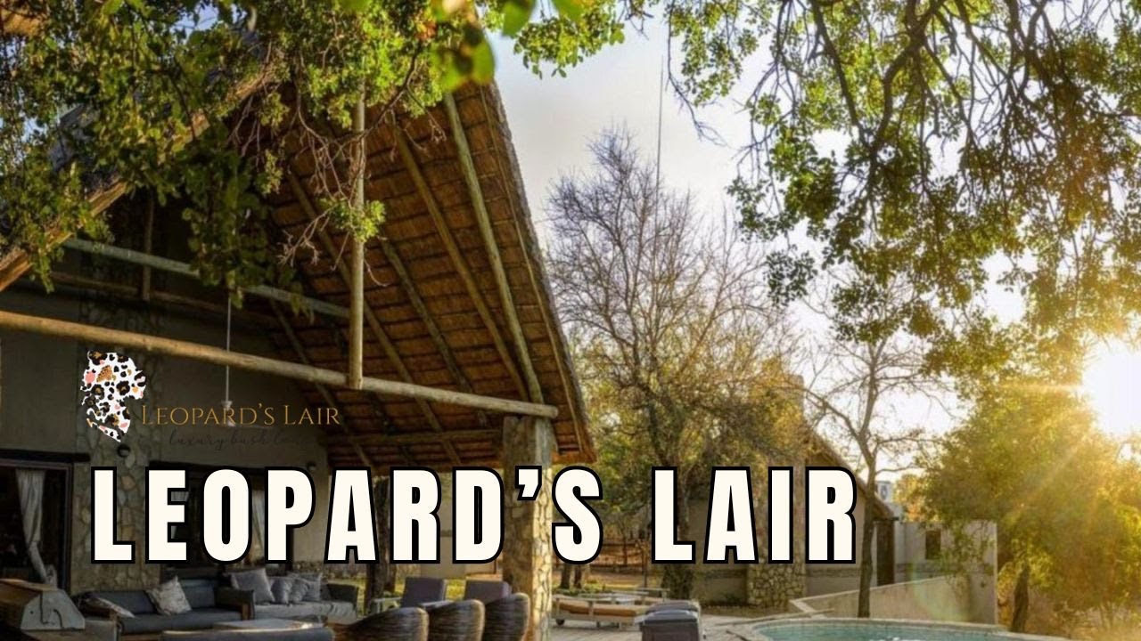 LODGE TOUR | Leopard's Lair Bush Lodge, Hoedspruit, South Africa