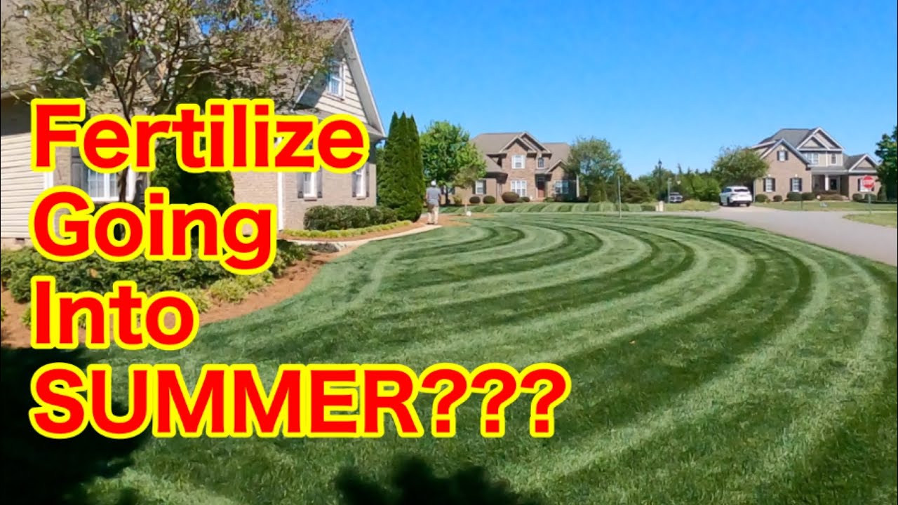Is It OK to Fertilize Your Lawn Before Summer Heat?