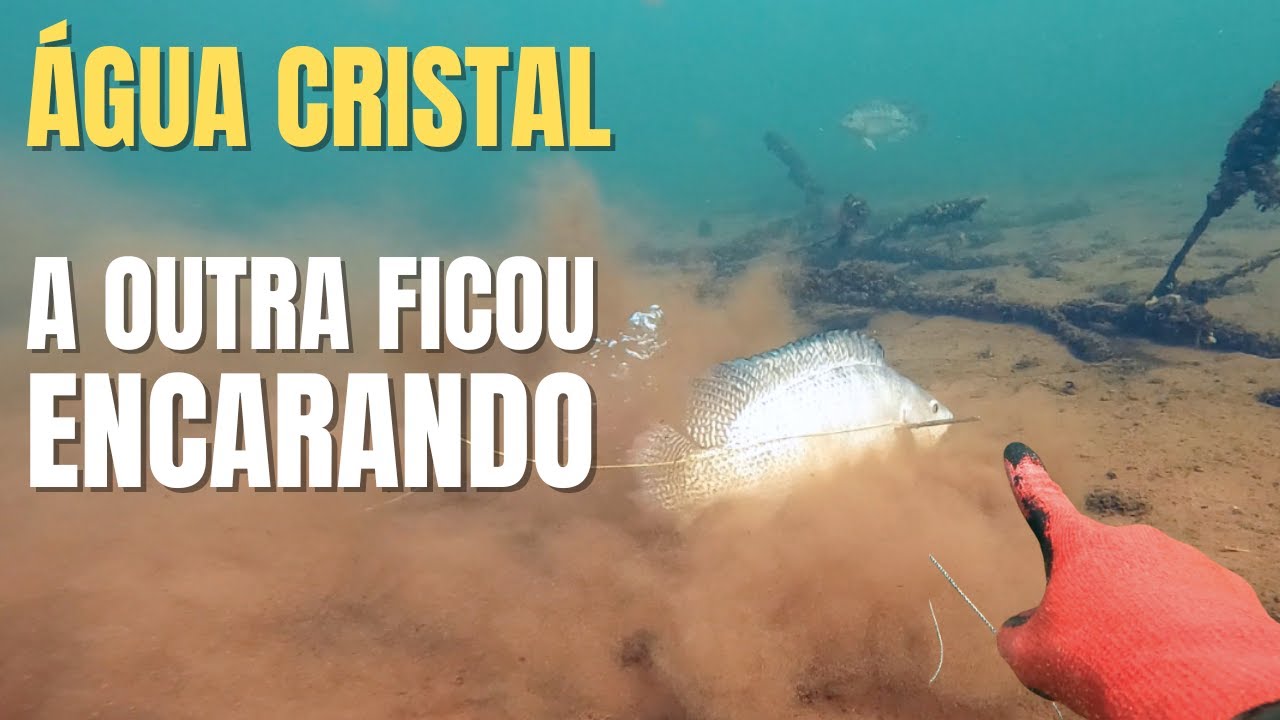 Hunter's Pesca Sub - Pescaria no Paranazão - Água Limpa e muitos Peixes