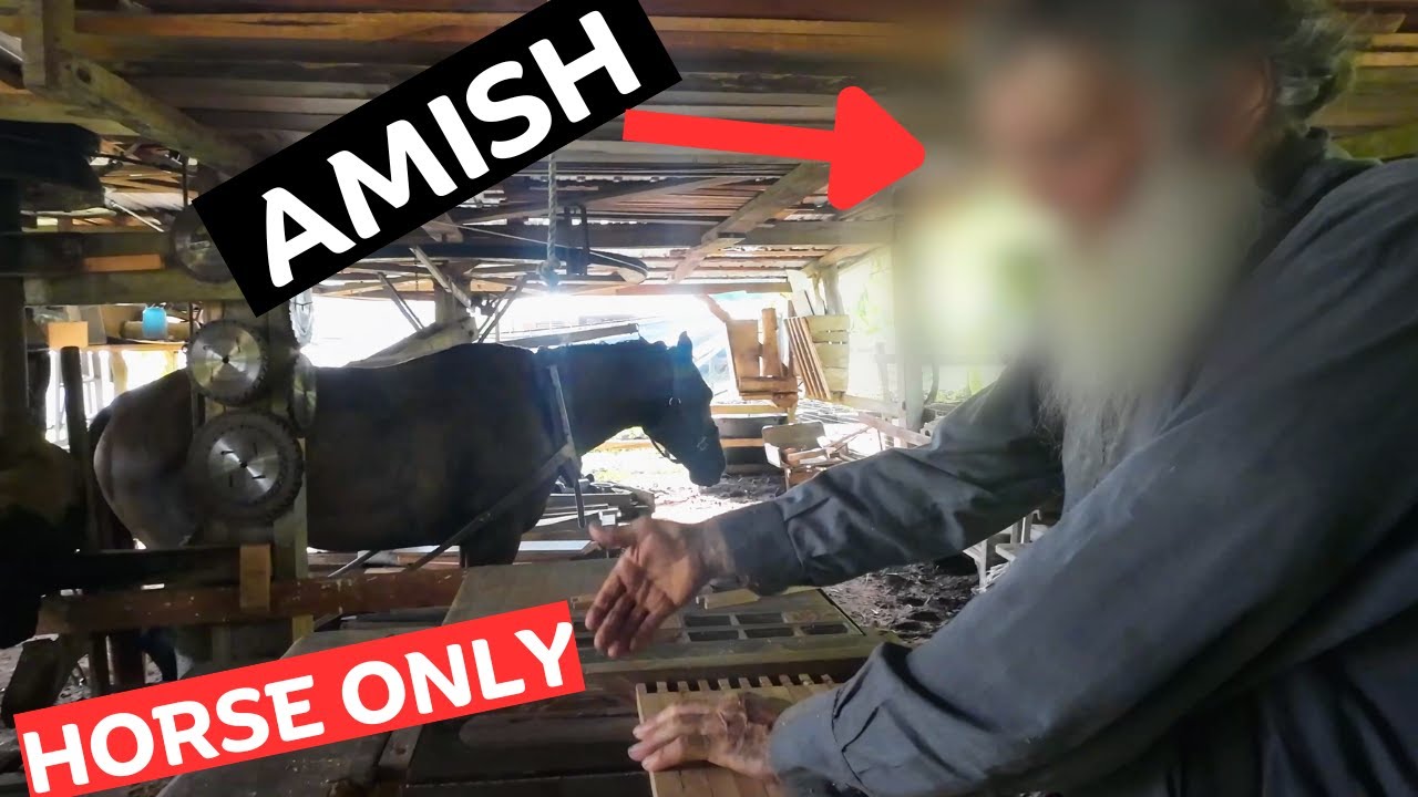 Amish Mennonite 1 Horse Powered Saw