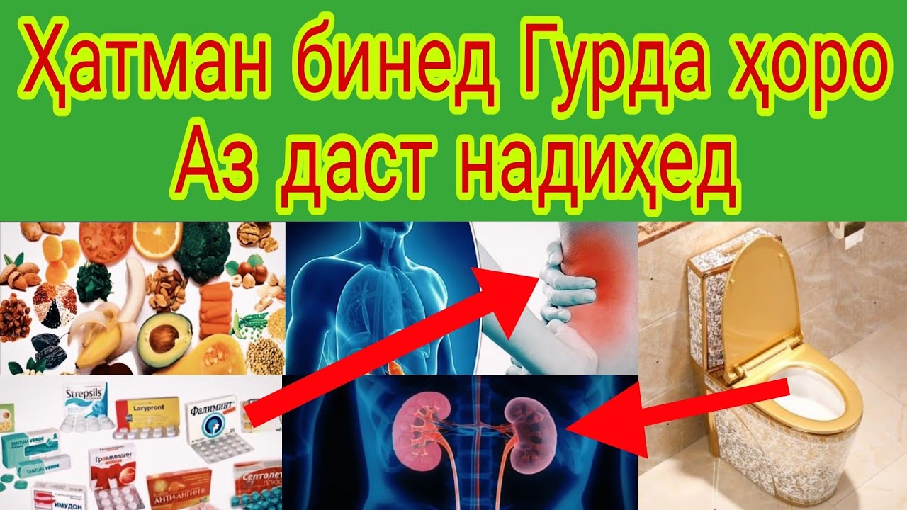 Ҳатман бинед Гурда ҳоро Аз даст надиҳед маълумоти Муфассал.
