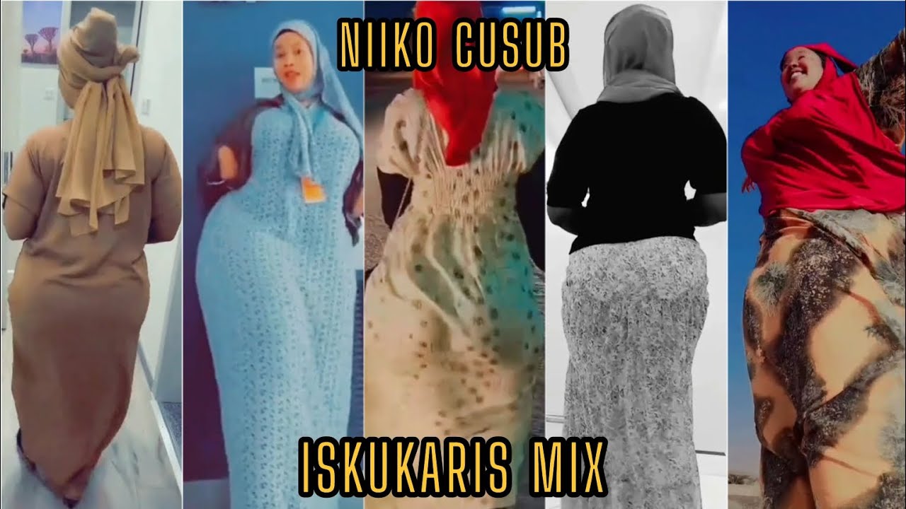 NIIKO CUSUB ISKUKARIS MIX v114