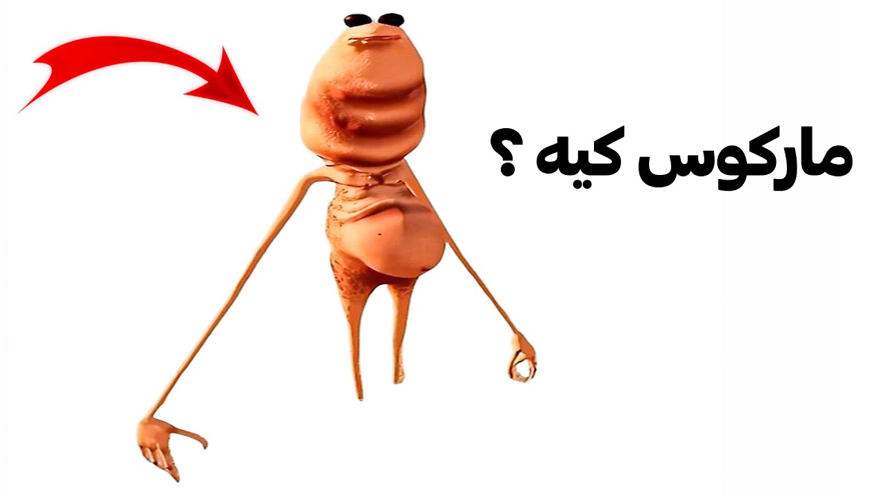 داستان میم مارکوس و رابرت چیه ؟ 
