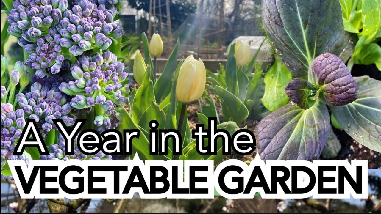 Slow TV - A Year in the Vegetable Garden || A Plot 37 B-Roll Saturday Special