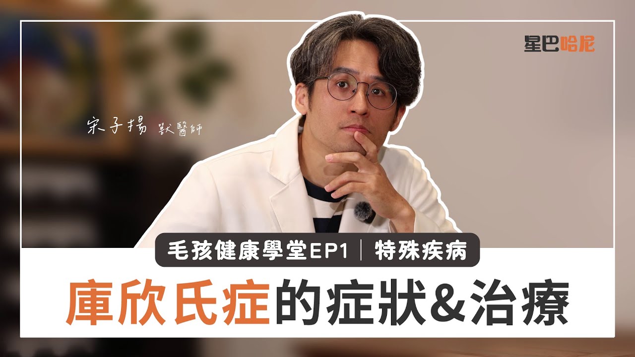 庫欣氏症是什麼？要如何治療？｜毛孩健康學堂EP1