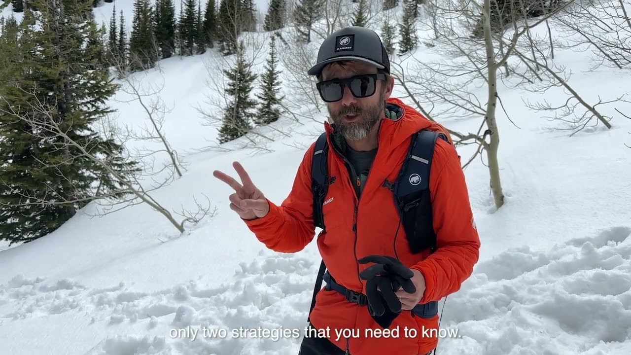 Mammut Barryvox: Alternative Analog Strategies