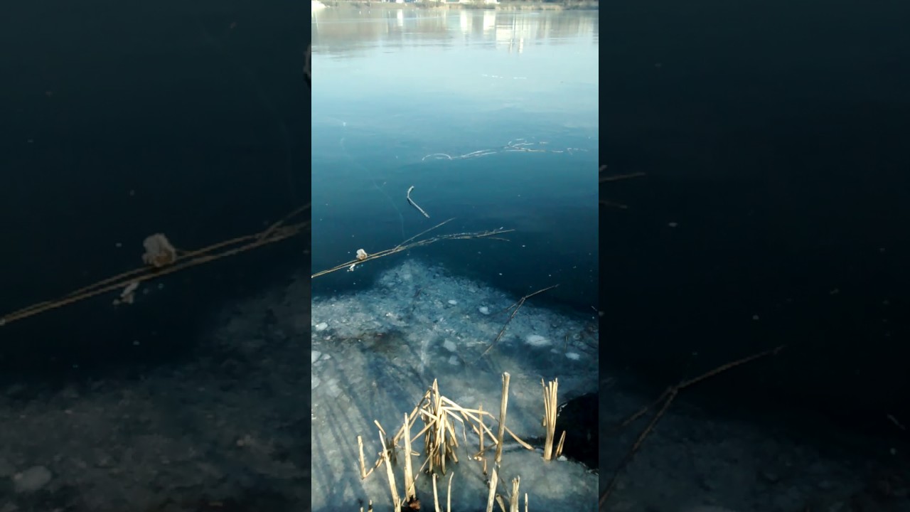 Le chant d'un lac gelé