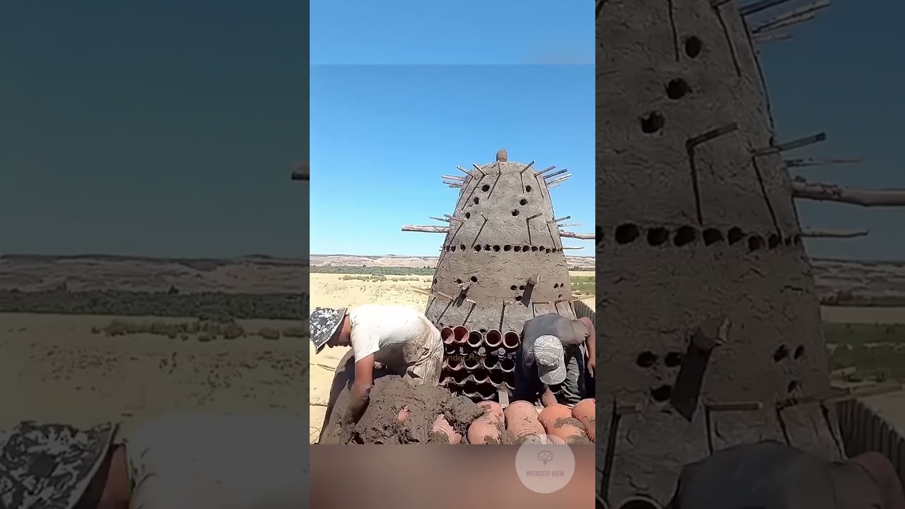 Pigeon House !  #interesting #innovation #facts #experiment #pigeon