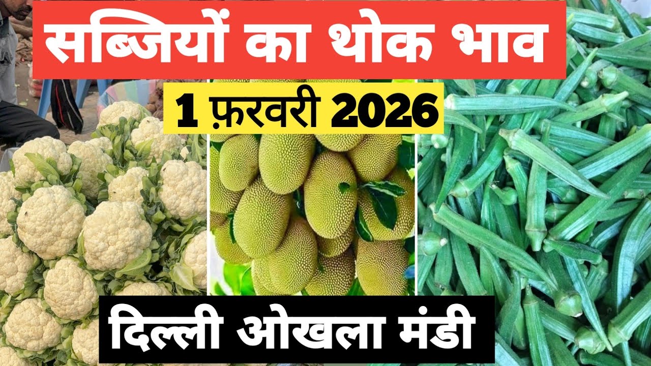 1 February 2026 🥬 सब्जियों का भाव दिल्ली ओखला  मंडी | today vegitables rates #mandirates #vegitables