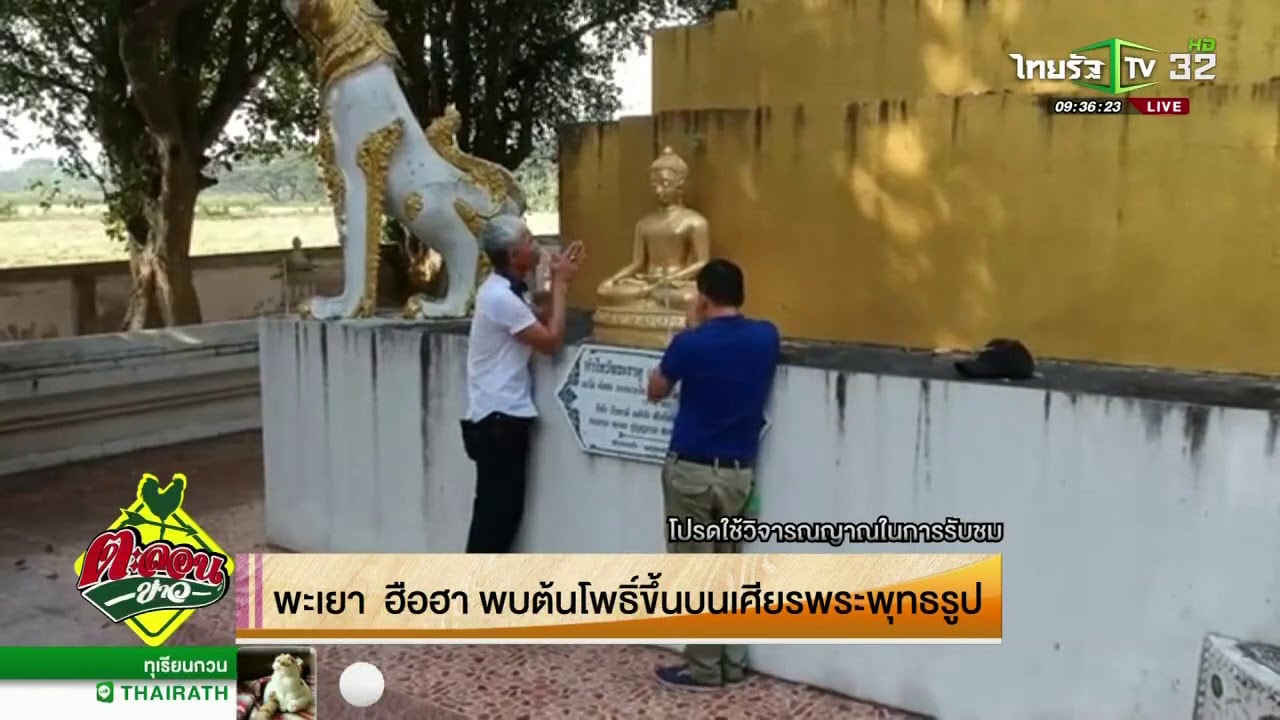 ฮือฮา พบต้นโพธิ์ขึ้นบนเศียรพระพุทธรูป | 17-01-62 | ตะลอนข่าว