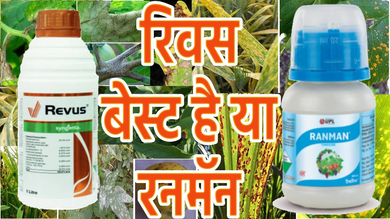Ranman Vs Revus/Ranman Fungicide Upl/Revus Fungicide/mandipropamid fungicide