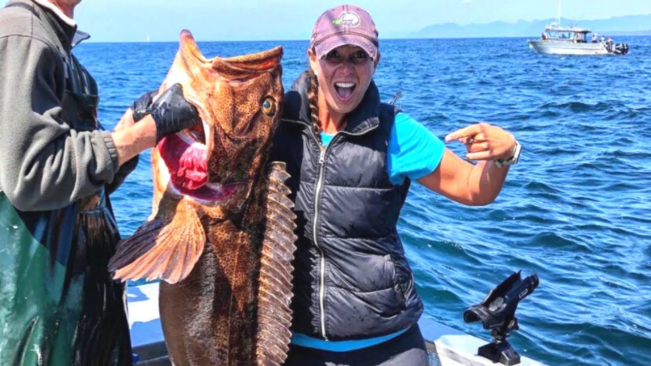 Things to do in Sitka Alaska, Fishing, Hiking, Bald Eagles, Bears