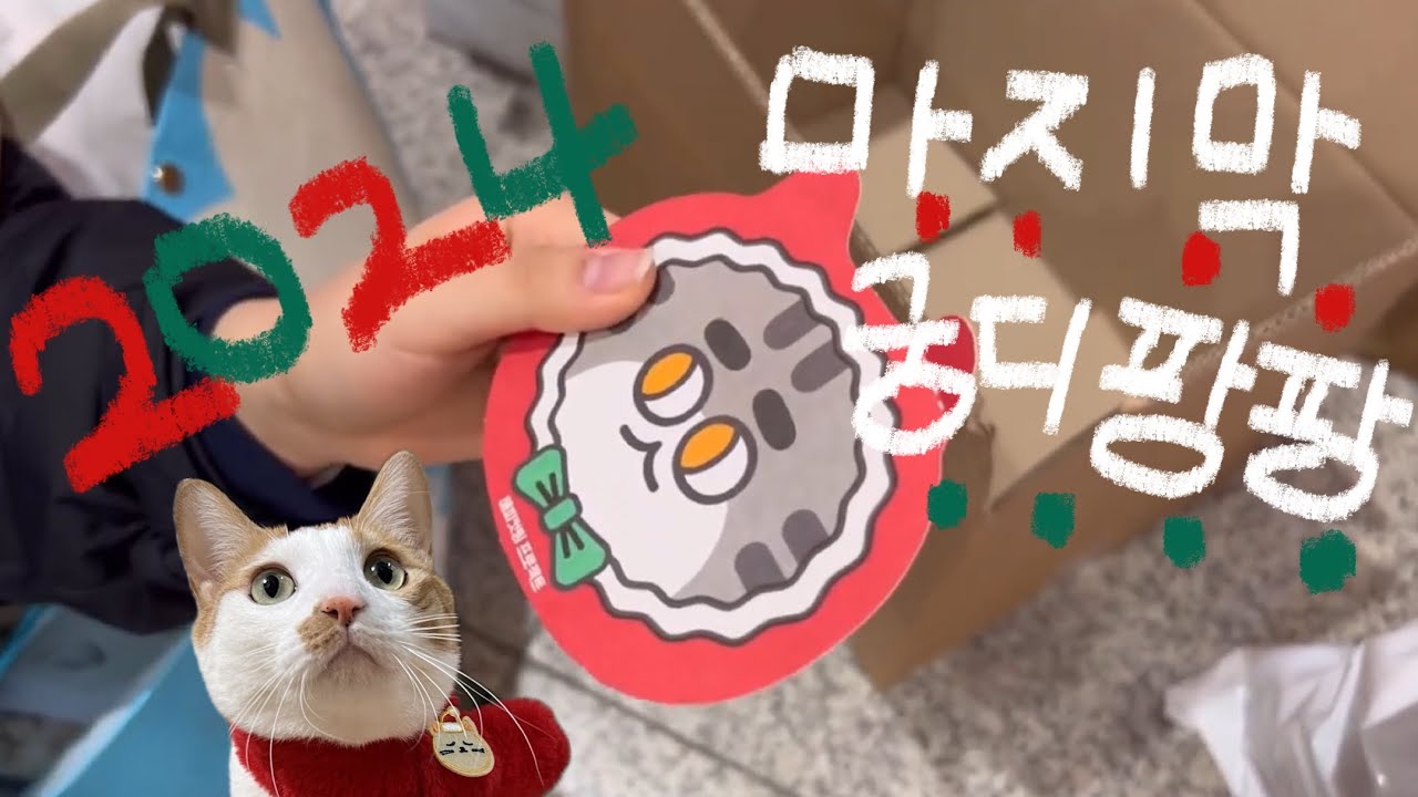 2024년 마지막 궁디팡팡에 다녀왔습니다. 그리고 후기🐾
