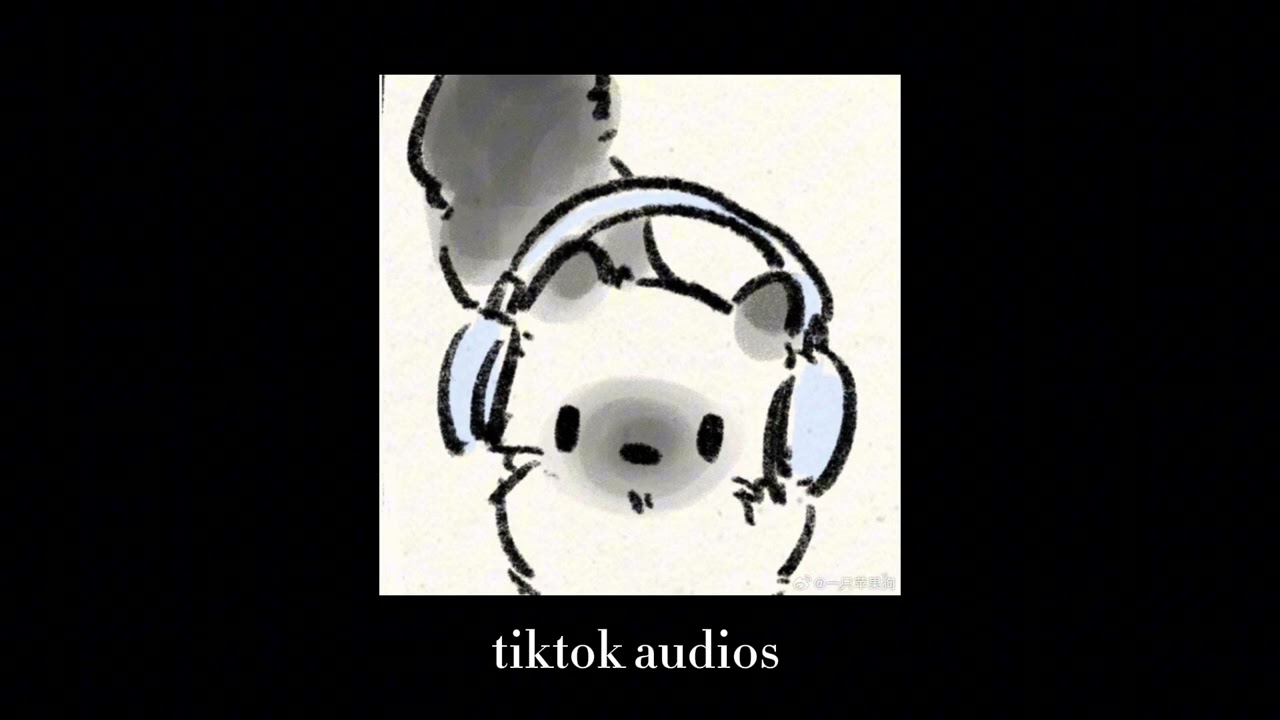 tiktok audios 160 + timestamps