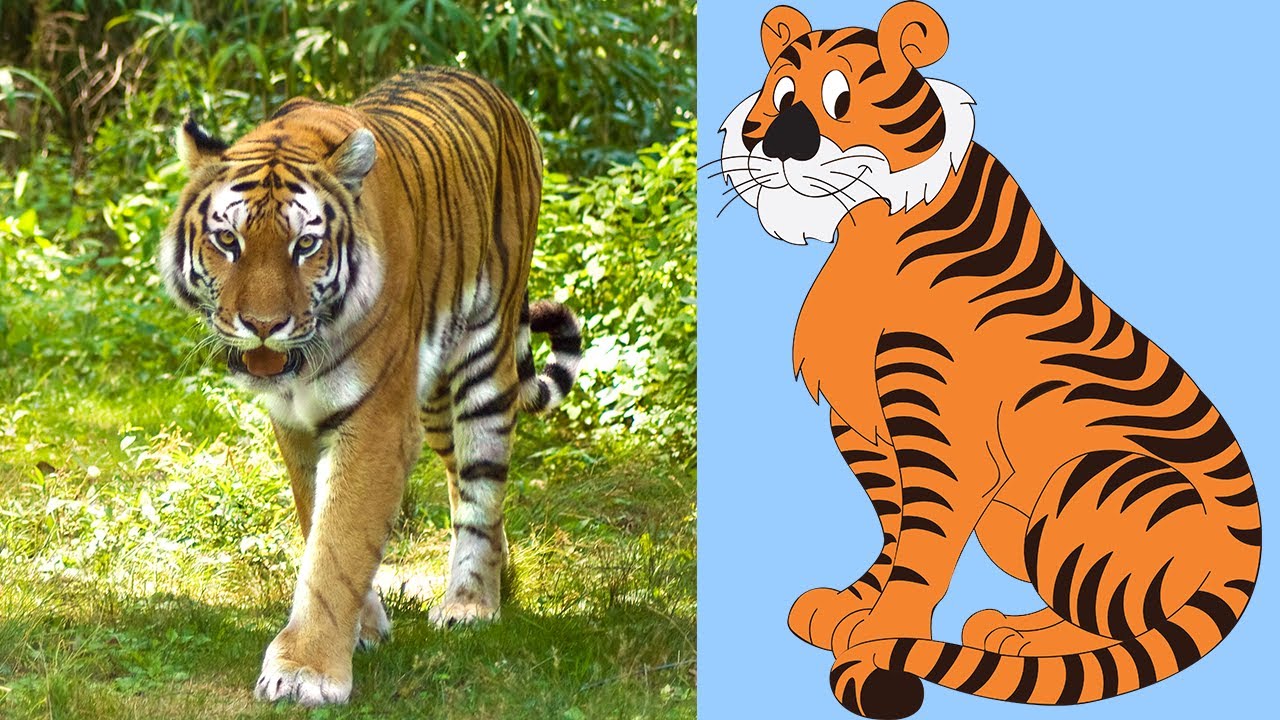 Jungle Animals for Kids! | Learn Jungle Animal Names for Toddlers | Kids Learning Videos