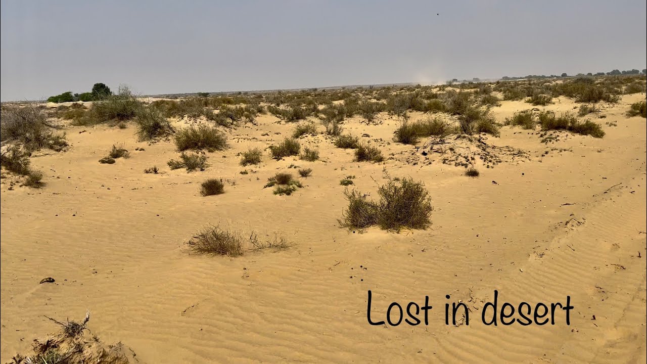 Exploring Cholistan desert. And desert road drive.  From Rahim yar khan to Derawar fort.. 4K video.