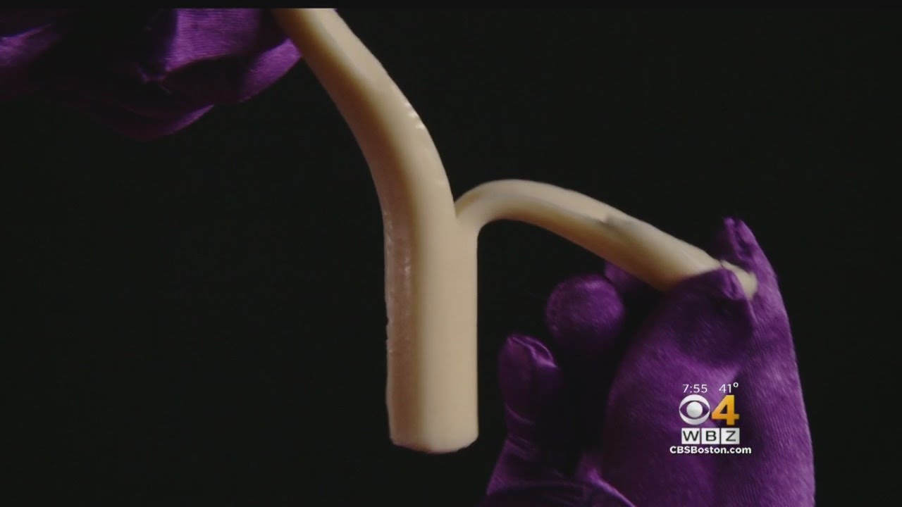 Phantom Gourmet: String Cheese Taste Test