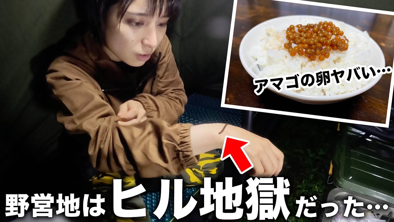 アマゴの腹から大量の卵!?テント内から巨大ヒルも登場…