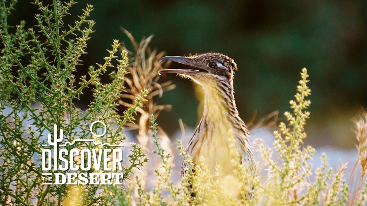 Discover the Desert: Walking the river that sustains Southern Utah