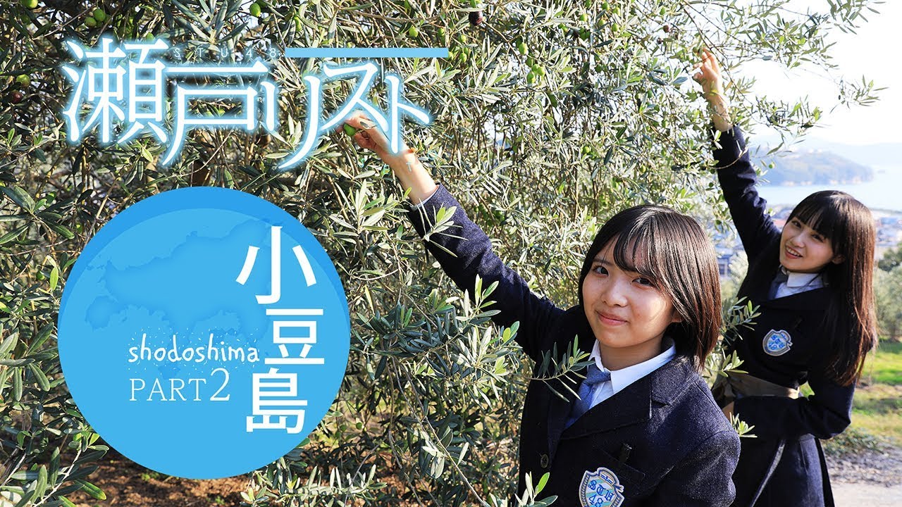 STU48 榊さん　小豆島のオリーブ収穫、プロ並みの手つき