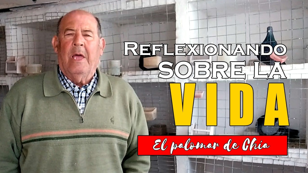 Reflexiones en el Palomar: Vida, Diálisis y la Pasión por mis Palomos