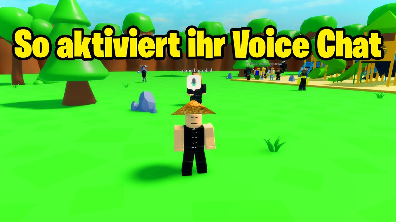 Roblox VOICE CHAT Aktivieren Deutsch (Sprach Chat)