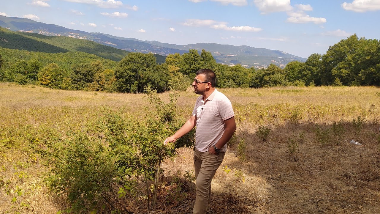 YEMYEŞİL DOĞA İÇERSİNDE SATILIK 16 BİN M2 TARLA RESMİ YOLU VAR FİYAT:82 BİN TOPRAK ALIN DOĞADA KALIN