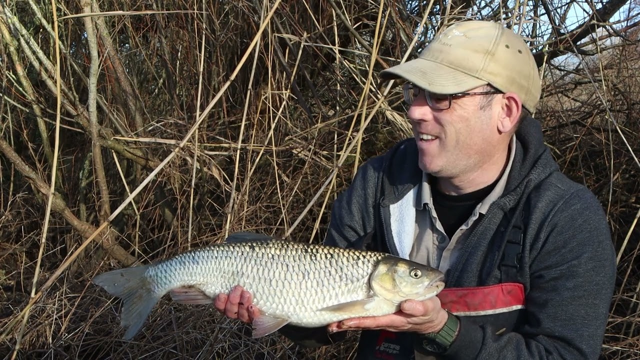 Avoiding the Blank 24 Part 2 (Chub on the stour and some Perch Fishing)