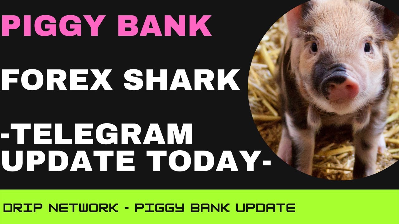 Piggy Bank Update - Forex Updating on Animal Farm