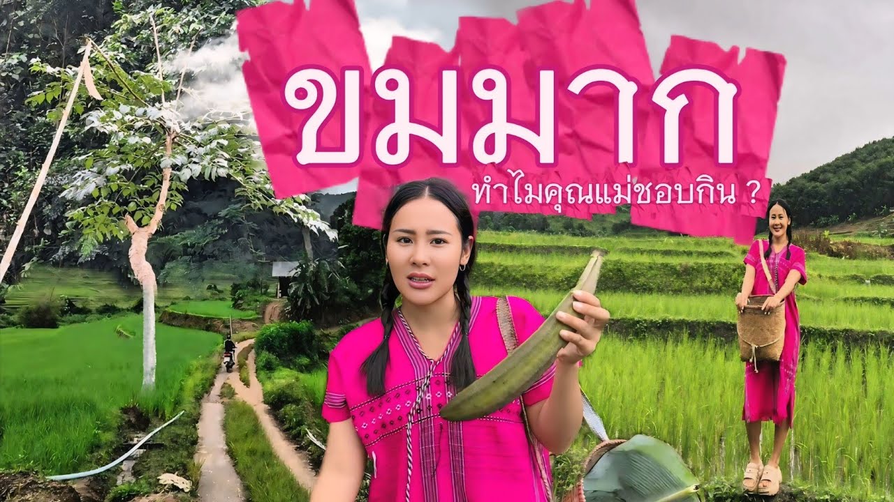 วิถีชีวิตคนดอย ep.886 เมนูแซ่บๆเช้านี้แถมอากาศดีสุดไปเลยค่ะ