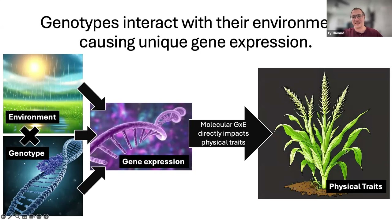 Dissecting the Genetic and Regulatory Basis of G×E
