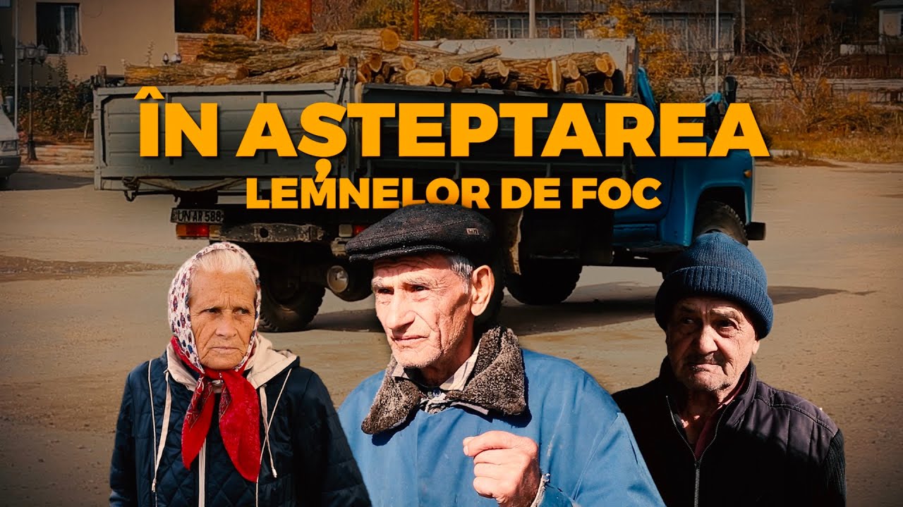 Intermediarii lemnelor de foc | zdg.md