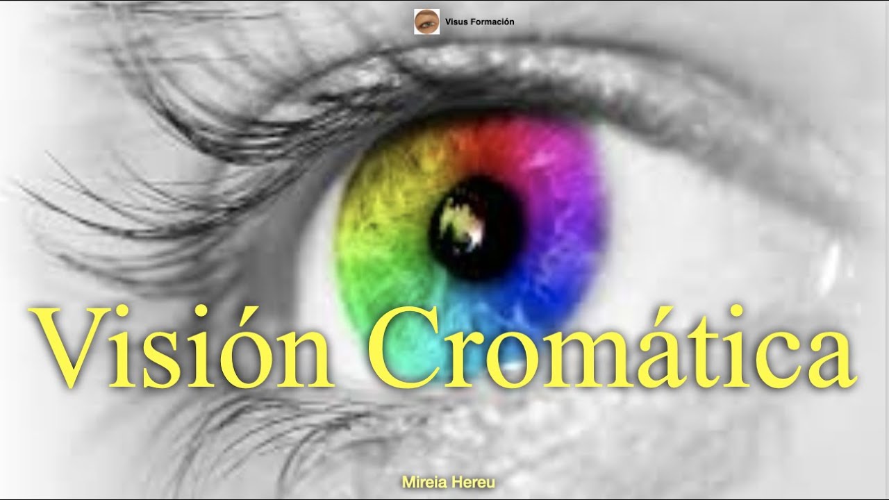 Visión Cromática.