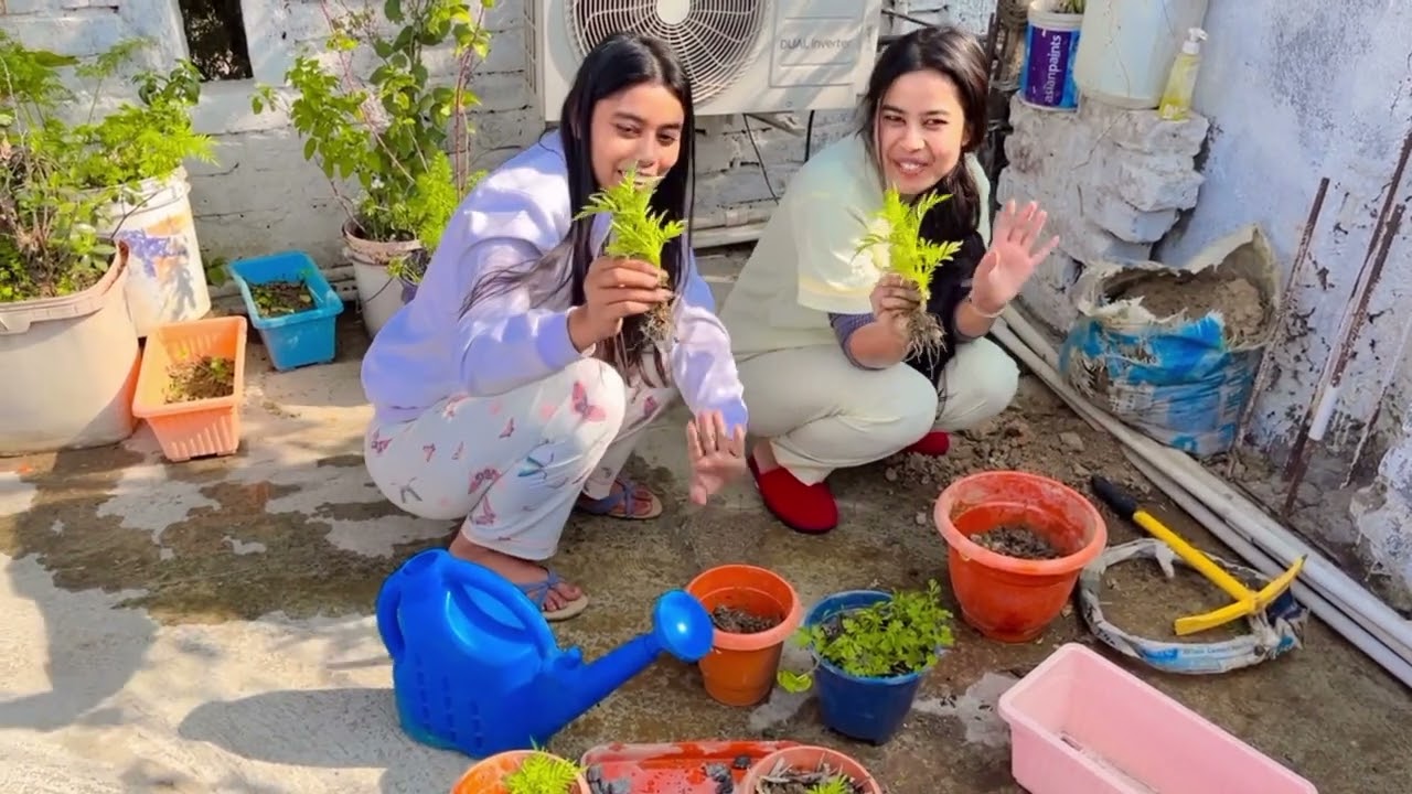 Chatt Par Mini Garden 🌱 | Home Gardening | Harvesting & Genda Flower planting. #gardening #plants 