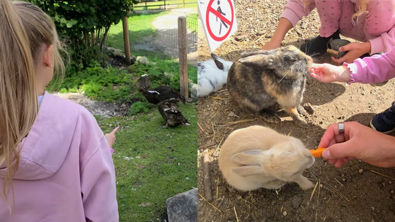 Käisime Saaremaa ZOOs 🦜 | Saaremaa 2025 🌴