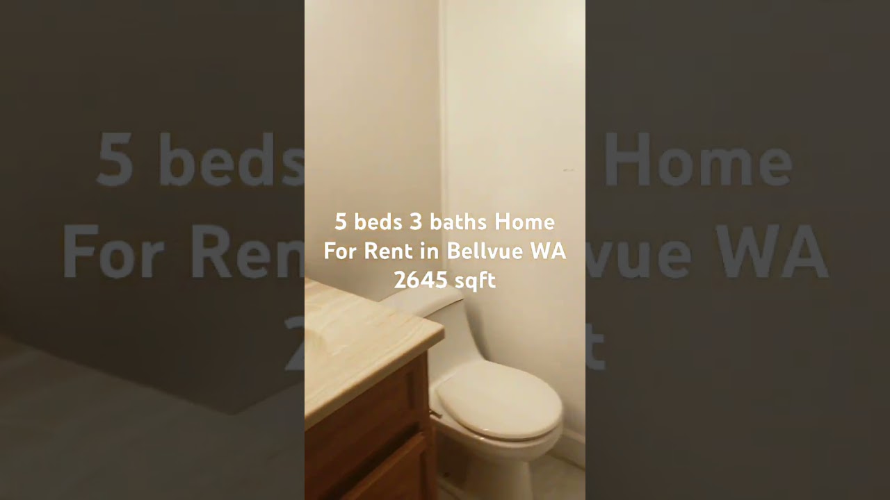 Bellevue Rental property Lower Level