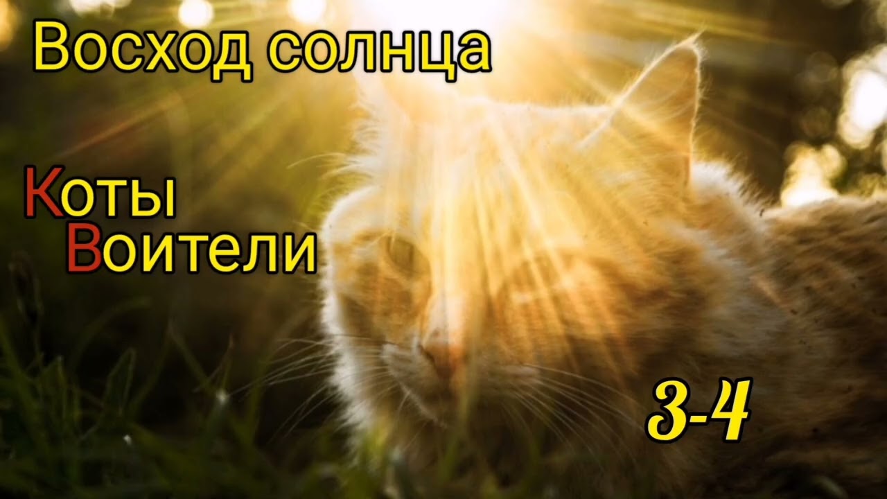 КОТЫ ВОИТЕЛИ. Восход солнца. Главы 3-4.